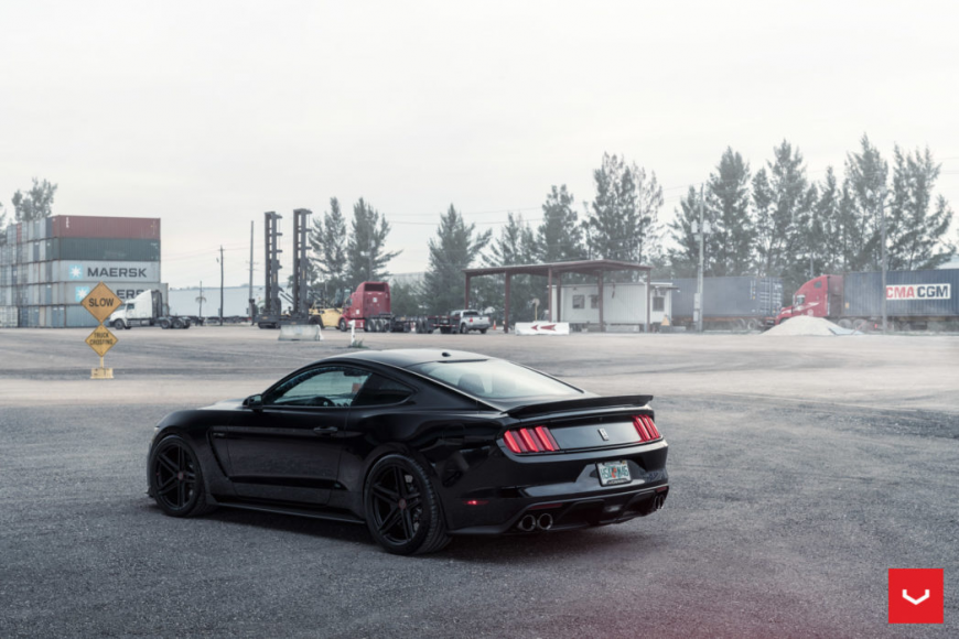 Ford Mustang   VFS5
