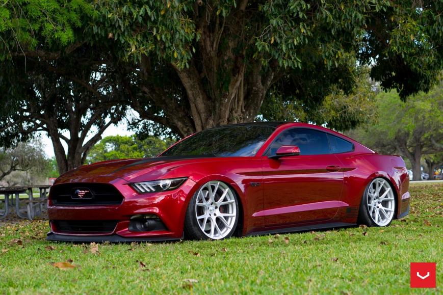 Ford Mustang   VFS6