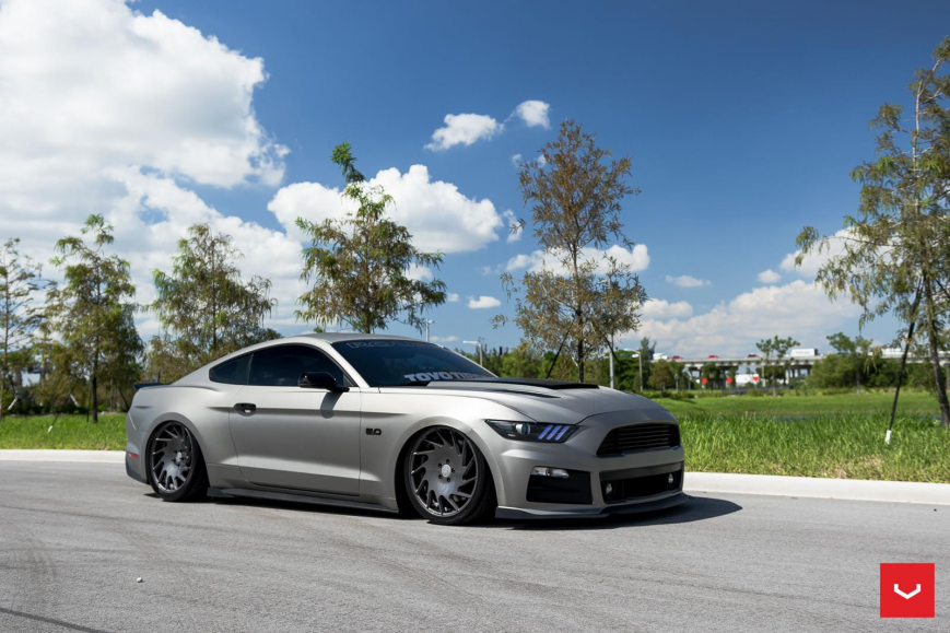 Ford Mustang   VLE1