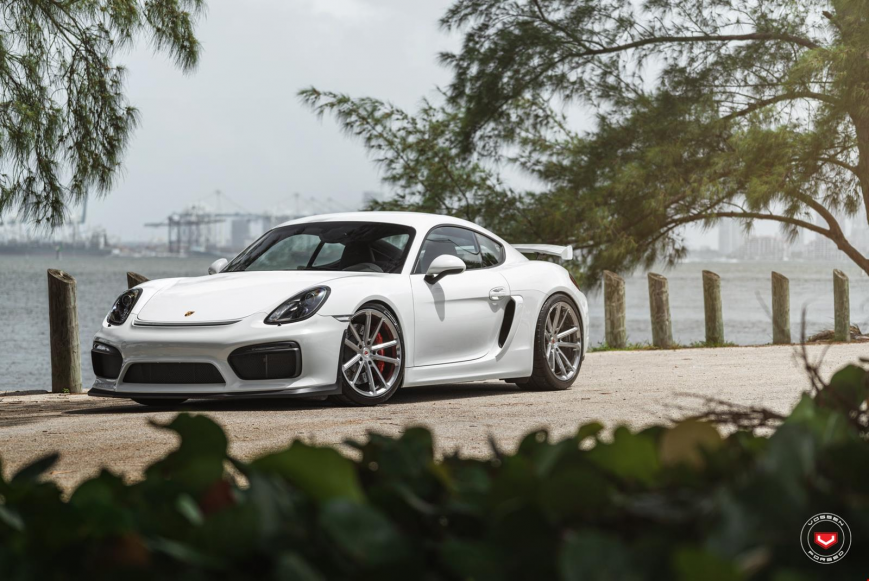 Porsche GT4   CG203