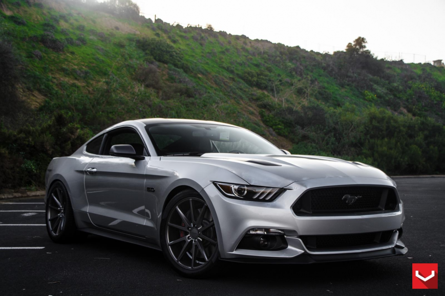 Ford Mustang   VFS1
